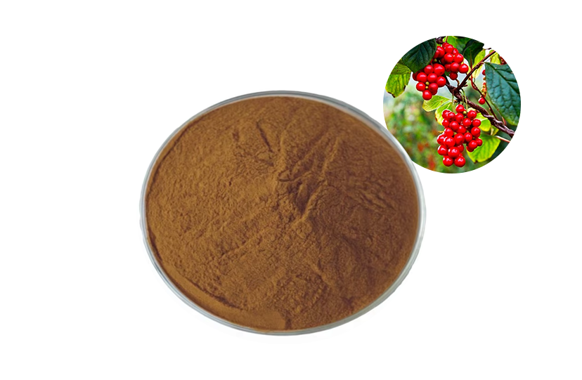 Schisandra Chinensis Extract